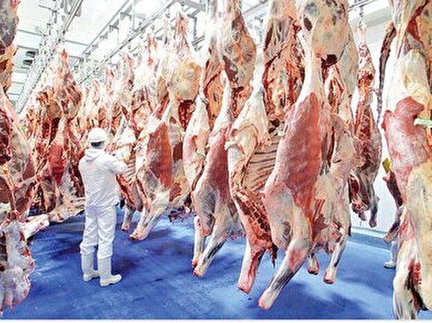 قیمت رسمی گوشت اعلام شد/ گوشت گوساله ۲۹۹ هزار تومان قیمت پیدا کرد