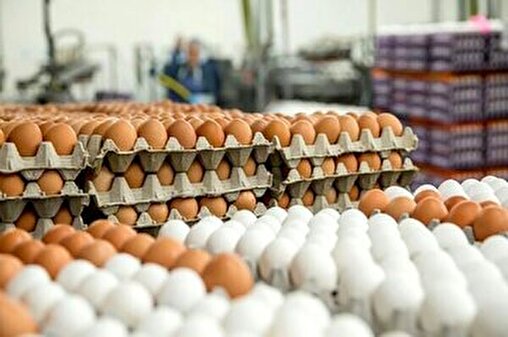 قیمت جدید تخم‌مرغ در بازار